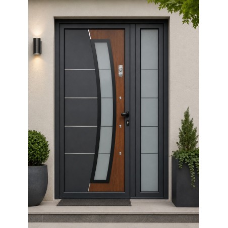 PE-198 | Porte d’entrée alu