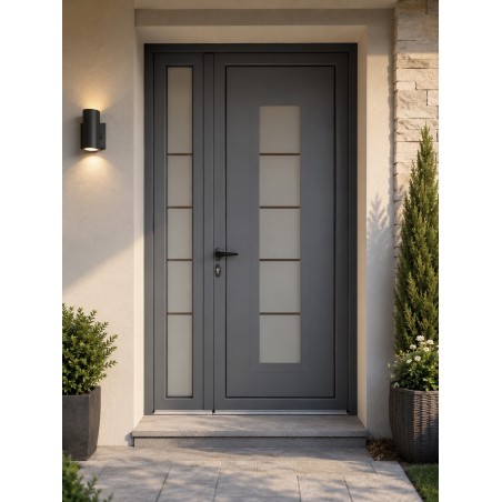 PE-238 | Porte d’entrée alu