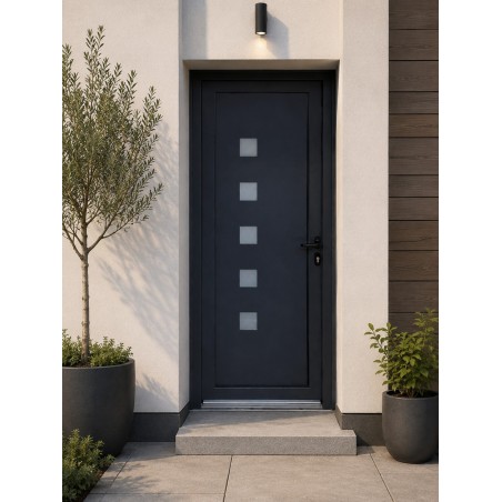 PE-263 | Porte d’entrée alu