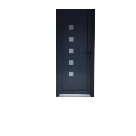 PE-263 | Porte d’entrée alu