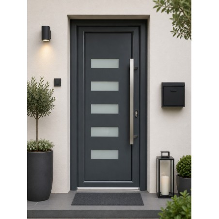 PE-44 | Porte d’entrée alu