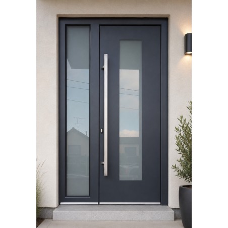 PE-295 | Porte d’entrée alu