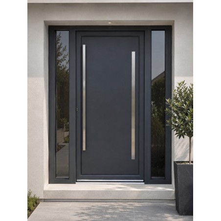 PE-229 | Porte d’entrée alu