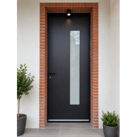 PE-317 | Porte d’entrée alu