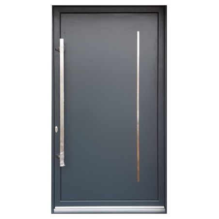 PE-16 | Porte d’entrée alu